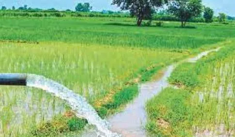 बरेली: 168 नहरों से हो रही 70 हजार हेक्टेयर भूमि की सिंचाई