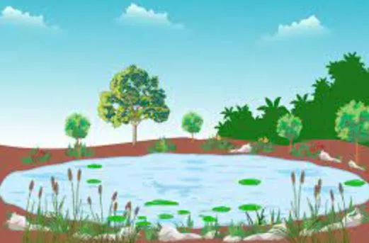 बरेली: अमृत सरोवर बनाने का कार्य हुआ तेज
