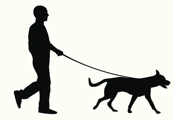बरेली: कुत्तों का होगा वैक्सीनेशन तभी करा सकेंगे पंजीयन