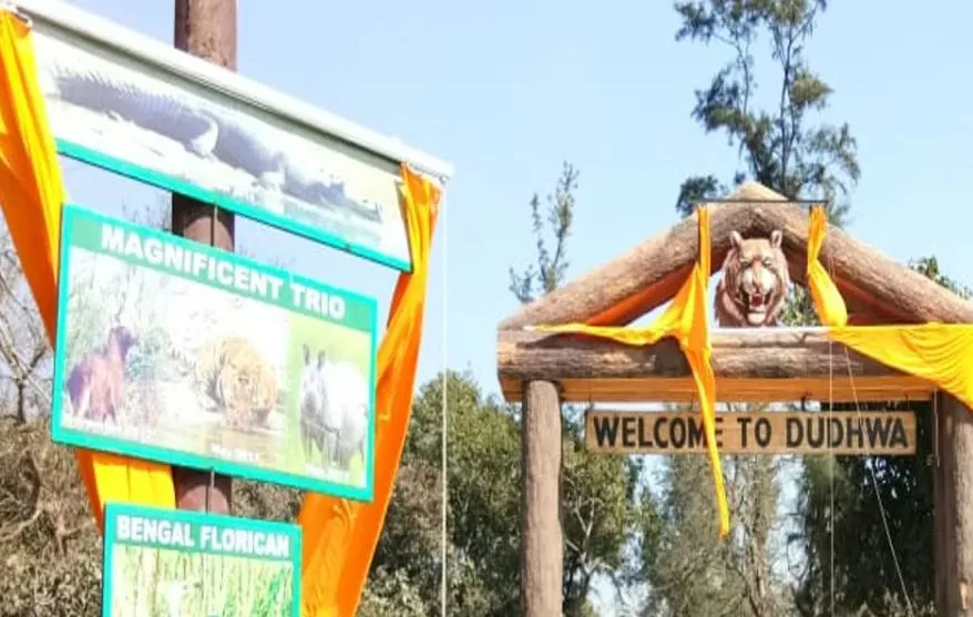 लखीमपुर-खीरी: दुधवा टाइगर रिजर्व में पालतू हाथी मिथुन की हुई मौत