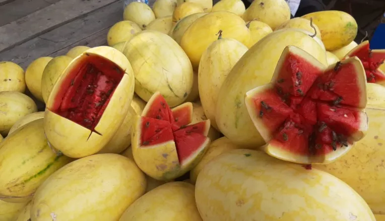 पश्चिम एशिया के तनाव से निर्यात रुका : रायगढ़ के तरबूज किसानों को भारी नुकसान 