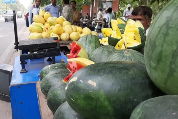 मुरादाबाद : मध्य प्रदेश-फर्रुखाबाद के रंग बिरंगे तरबूज भीषण गर्मी से दे रहे राहत