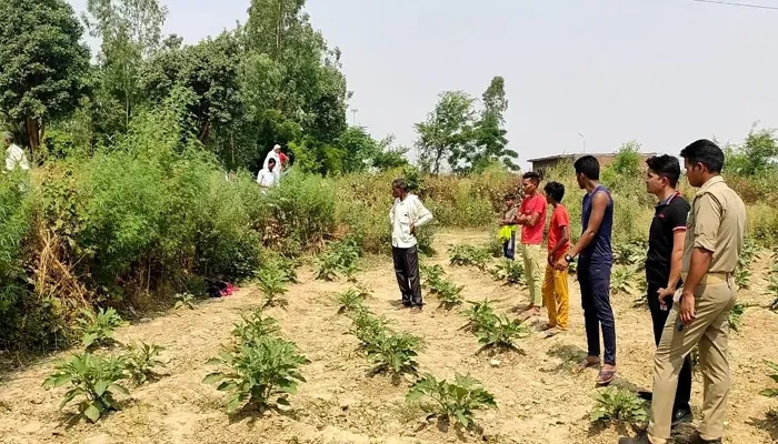 हरदोई: खेत से नवजात शिशु का शव बरामद, गांव में फैली सनसनी