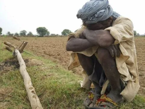 नैनीताल: फसल तबाह, बीमा कंपनी ने नहीं दिया उचित मुआवजा