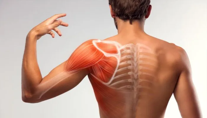 Health Tips: अगर आप भी हैं मांसपेशियों की जकड़न से परेशान, तो ऐसे करें बचाव