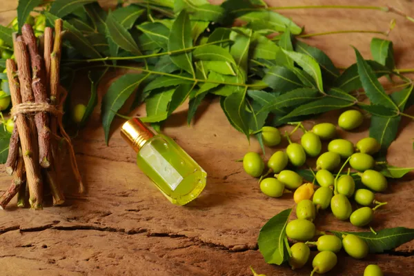 Neem Ke Fayde | नीम के फायदे व नुकसान | Neem ke Patte Ke Fayde