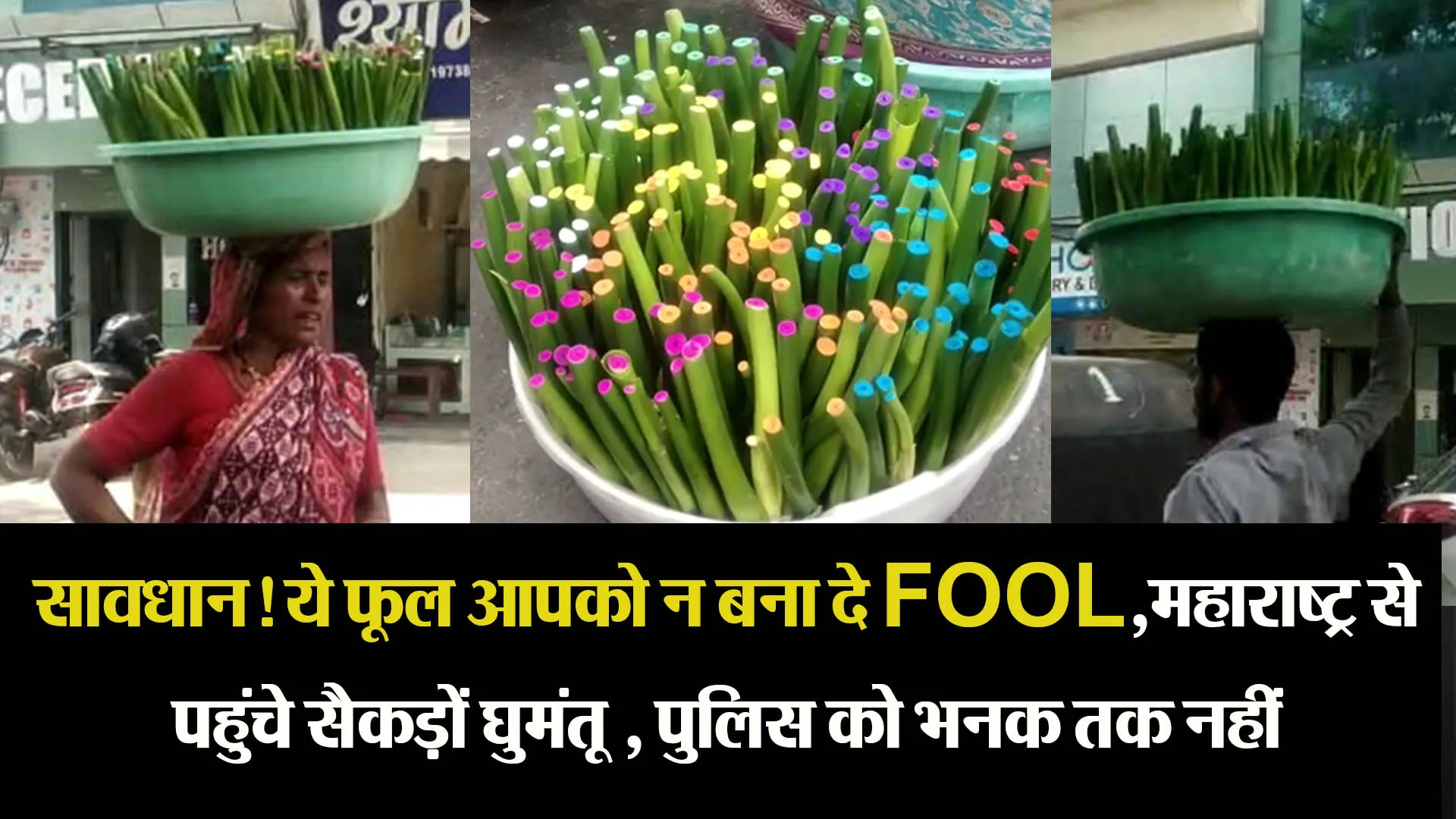 सावधान! ये फूल आपको न बना दे FOOL,महाराष्ट्र से पहुंचे सैकड़ों घुमंतू , पुलिस को भनक तक नहीं