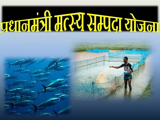 बरेली: प्रधानमंत्री मत्स्य संपदा योजना के लिए आए 70 आवेदन