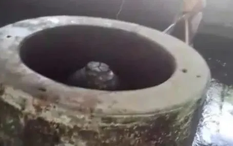 AIMIM के पूर्व नेता दानिश कुरैशी को शिवलिंग पर कमेंट करना पड़ा भारी, पुलिस ने किया गिरफ्तार