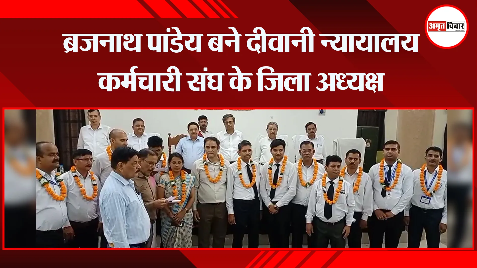 मुरादाबाद: ब्रजनाथ पांडेय बने दीवानी न्यायालय कर्मचारी संघ के जिला अध्यक्ष