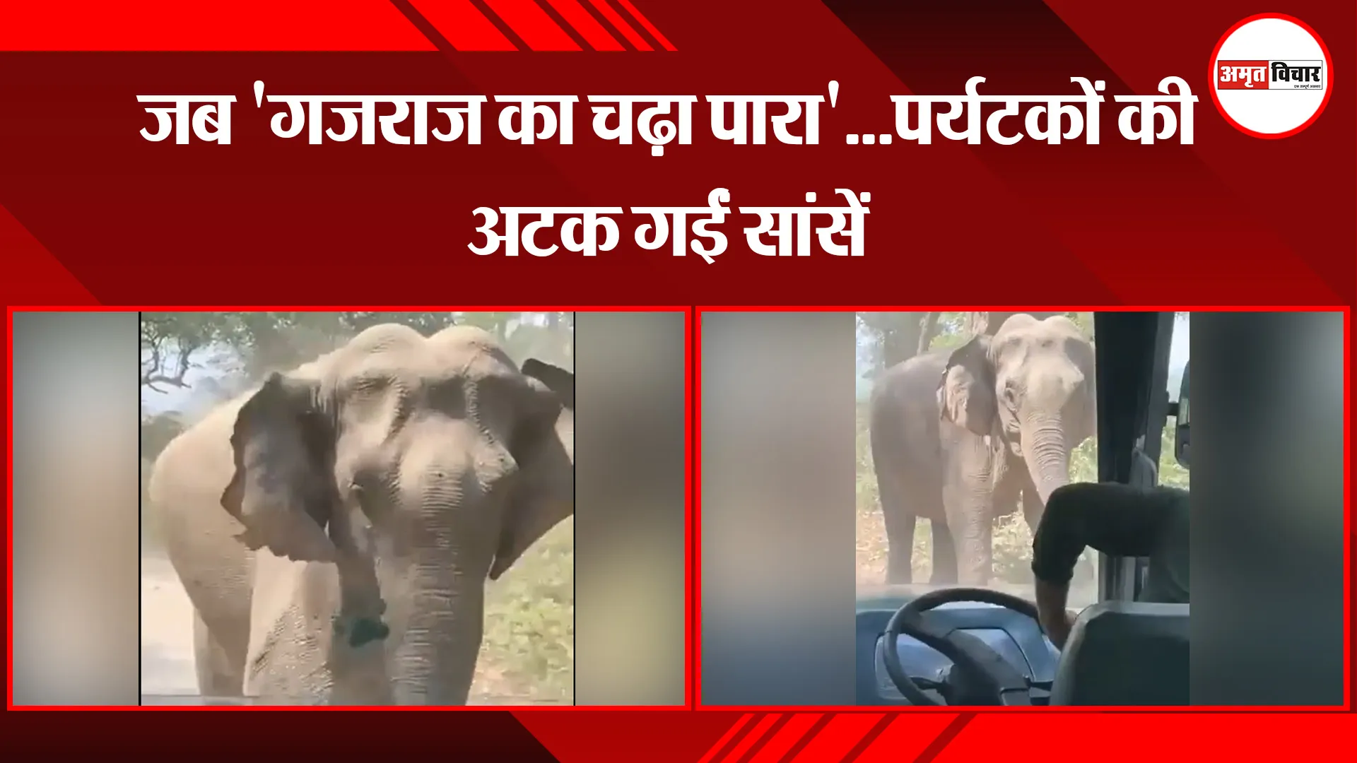 हल्द्वानी: जब ‘गजराज का चढ़ा पारा’…पर्यटकों की अटक गईं सांसें