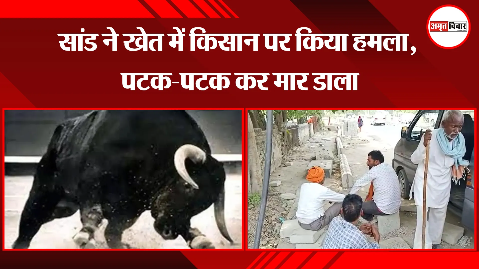 बरेली: सांड ने खेत में किसान पर किया हमला, पटक-पटक कर मार डाला