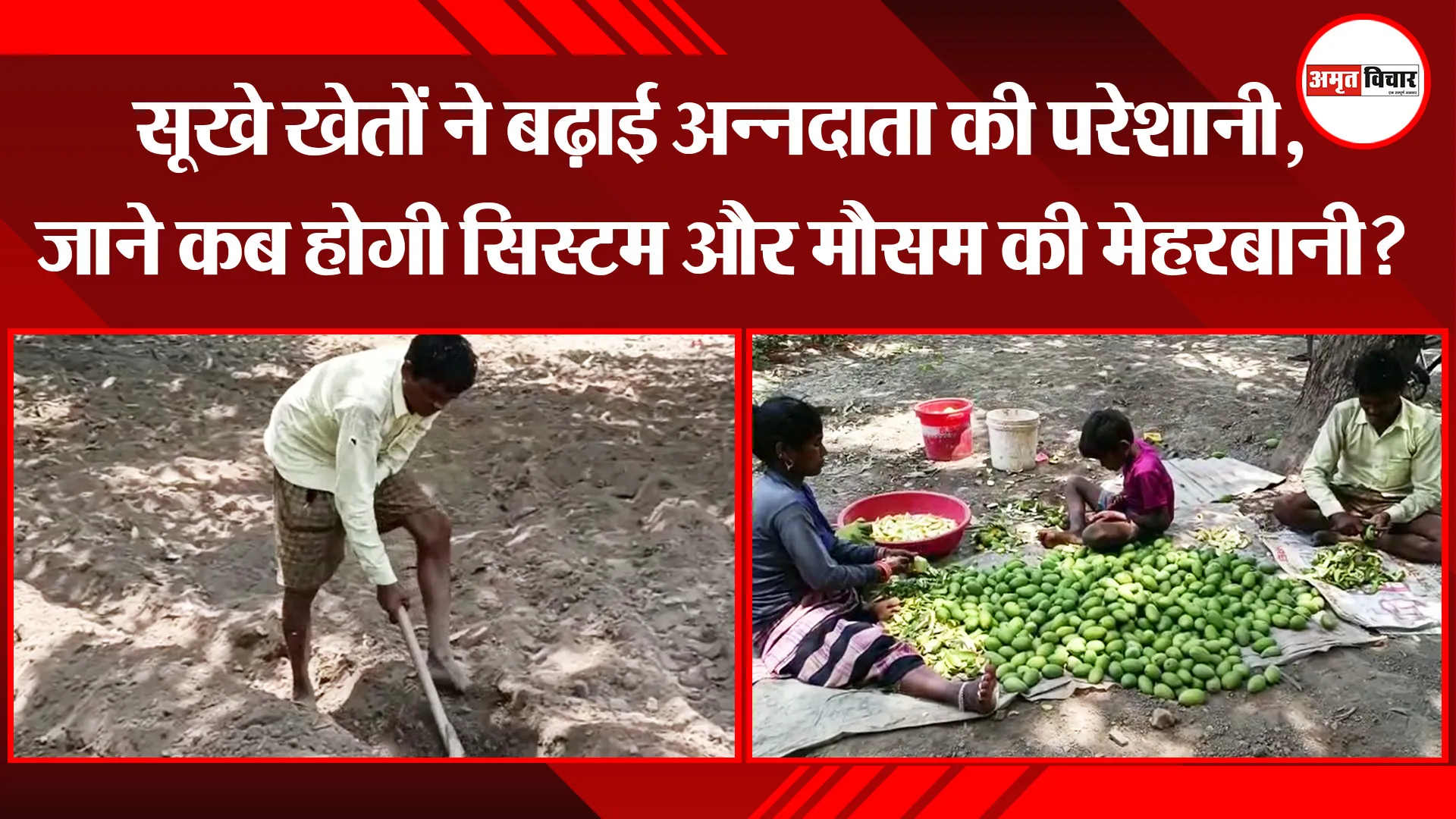 हल्द्वानी: सूखे खेतों ने बढ़ाई अन्नदाता की परेशानी, जाने कब होगी सिस्टम और मौसम की मेहरबानी?