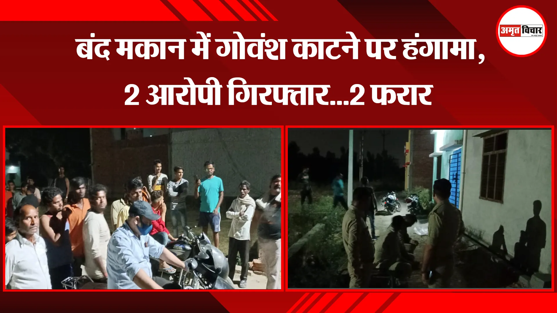 बरेली: बंद मकान में गोवंश काटने पर हंगामा, 2 आरोपी गिरफ्तार…2 फरार
