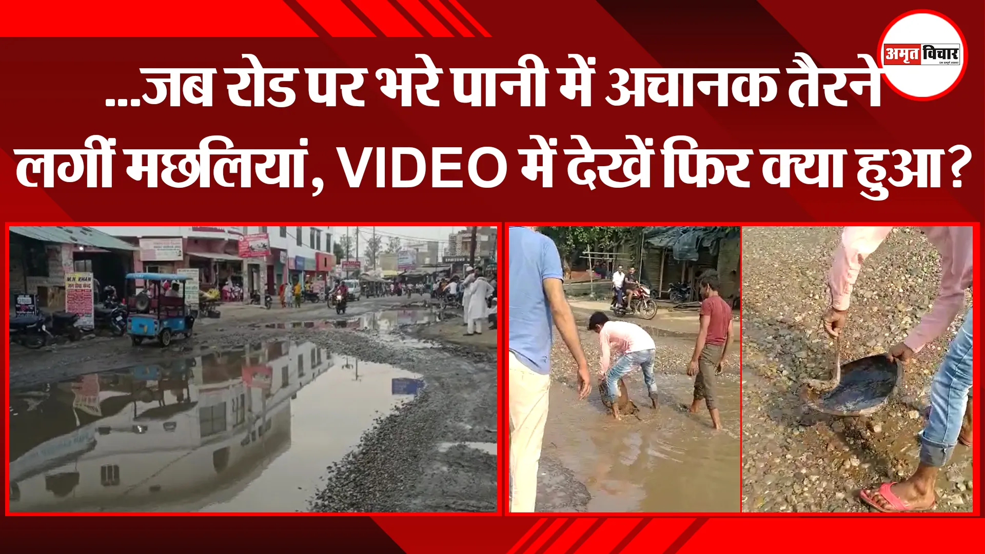 …जब रोड भरे पानी में अचानक तैरने लगीं मछलियां, VIDEO में देखें फिर क्या हुआ?