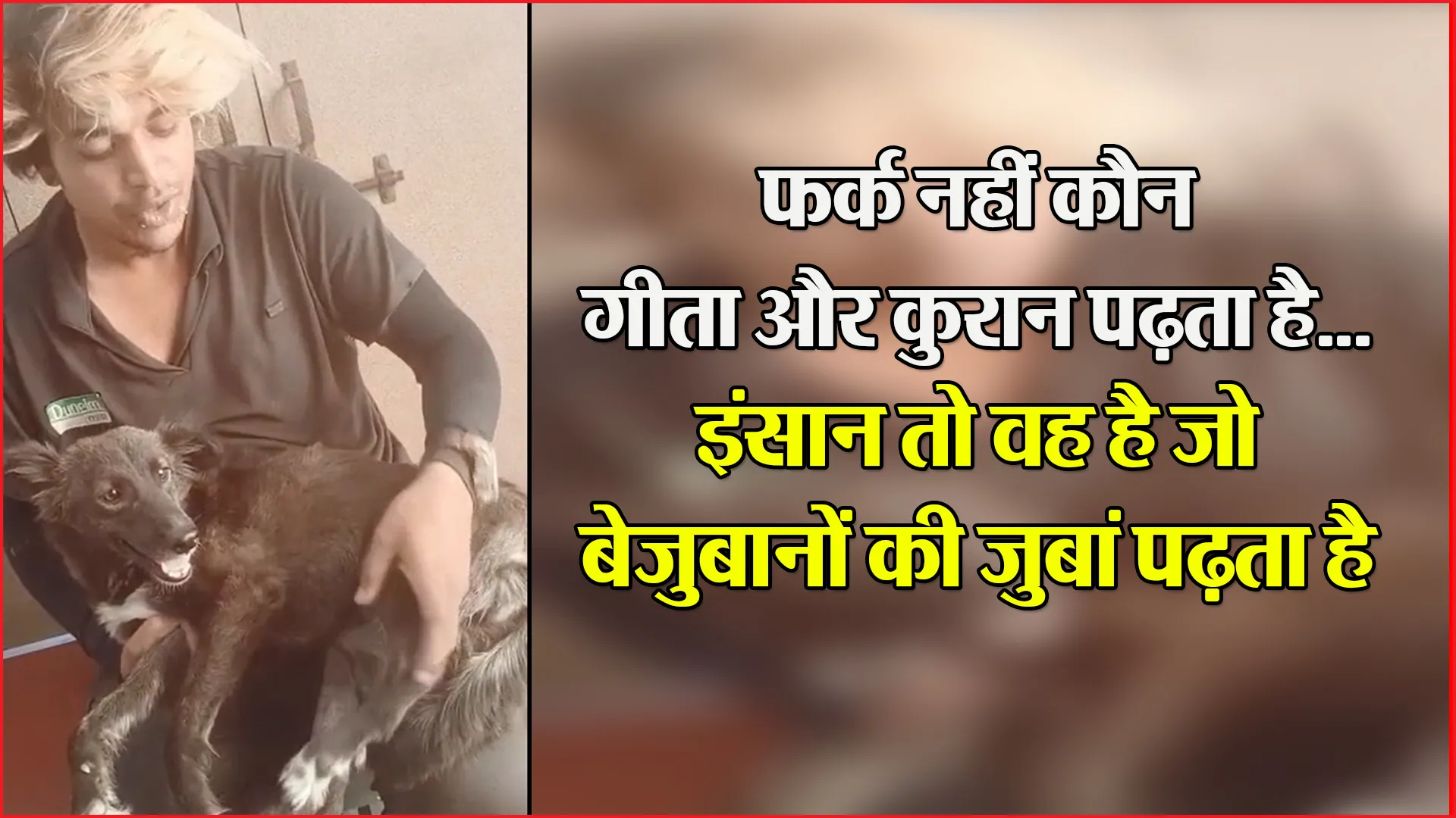 हल्द्वानी: फर्क नहीं कौन गीता और कुरान पढ़ता है…इंसान तो वह है जो बेजुबानों की जुबां पढ़ता है
