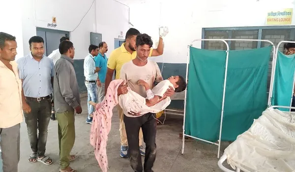 अमरोहा: पिता के साथ बाग की रखवाली करने आई छात्रा को कुत्तों ने नोचा, हालत गंभीर