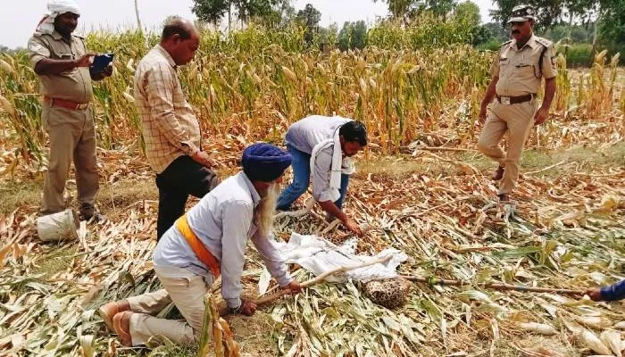 बहराइच: तेंदुए को लाठी से दबाने वाले लोगों पर वन विभाग ने दर्ज किया केस, जल्द होगी गिरफ्तारी