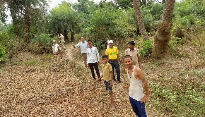 बाराबंकी: दरियाबाद क्षेत्र के खजुरी गांव में तालाब पर दिखा तेंदुआ, लोगों में दहशत