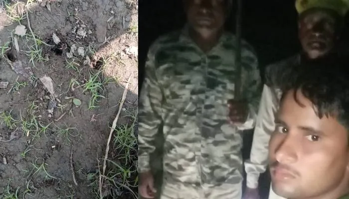बहराइच: फिर तालाब से बाहर निकला मगरमच्छ, ग्रामीणों को दौड़ाया, वन कर्मियों ने किया मुआयना