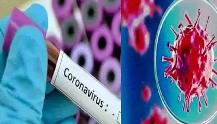 राजधानी लखनऊ में कोरोना वायरस के 24 नए मामले, चिनहट में मिले सबसे अधिक केस