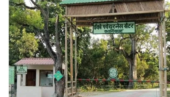 बहराइच: जंगल में मृत मिला बाघ, डीएफओ ने घटनास्थल का लिया जायजा, कल होगा पोस्टमार्टम