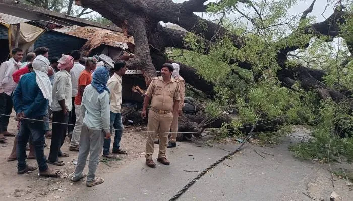 अयोध्या: आधे घंटे तक धूल भरी आंधी के बाद बारिश, टीन-टप्पर उड़े, कई जगह गिरे पेड़, यातायात भी हुआ बाधित