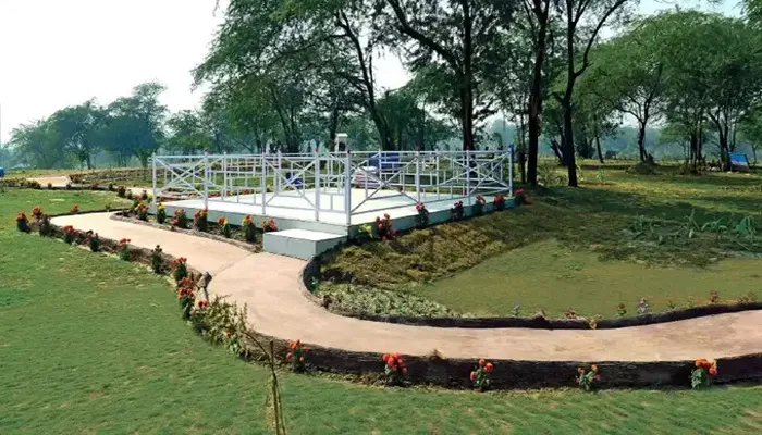 यूपी सरकार की नई पहल, गोरखपुर और वाराणसी सहित 13 शहरों में बनेंगे 26 सिटी फॉरेस्ट
