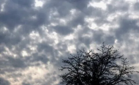 UP Weather Report: आज कई जिलों में चलेगी धूल भरी आंधी, 24 मई को बारिश की जताई जा रही आशंका