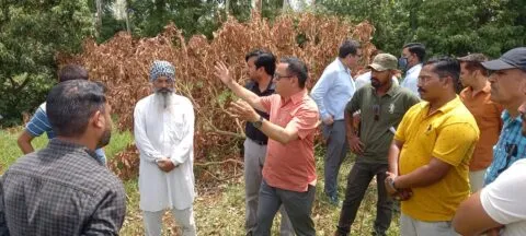आंधी, तूफान और बारिश ने किसानों को दिए जख्म, सरकारी मरहम लगाने रामनगर पहुंचे जिलाधिकारी