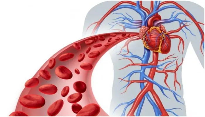 World Thalassemia Day: क्यों मनाया जाता हैं विश्व थैलेसीमिया दिवस, जानें इसका इतिहास और लक्षण
