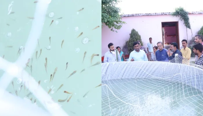 बहराइच: मछली पालन कर रही आजीविका मिशन की महिलाएं, निरीक्षण करने पहुंचे दिल्ली, मुंबई और लखनऊ के अधिकारी