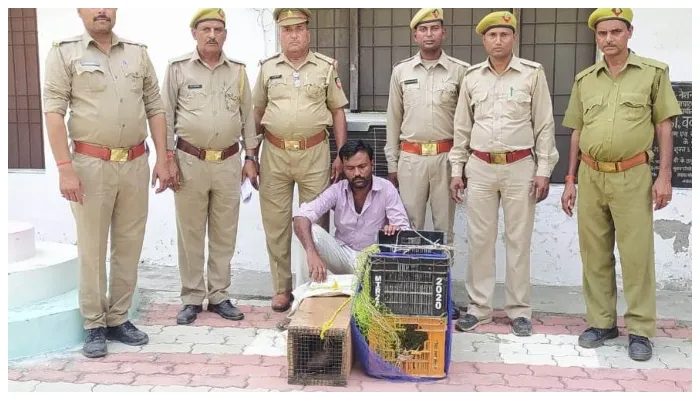 बहराइच: बाघ संरक्षित क्षेत्र से सेही का किया शिकार, तस्कर गिरफ्तार