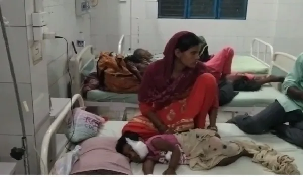 मुरादाबाद : पागल कुत्ते ने तीन बच्चों को बनाया शिकार, मासूम का चेहरा नोंचा