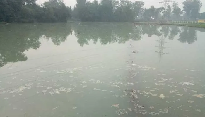 बाराबंकी: तालाब में मिला किशोरी का शव, गांव में फैली सनसनी