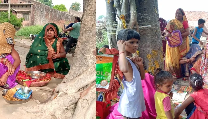 बहराइच: सुहागिनों ने की वट सावित्री की पूजा, पति के दीर्घायु के साथ की परिवार के सुख समृद्धि की कामना