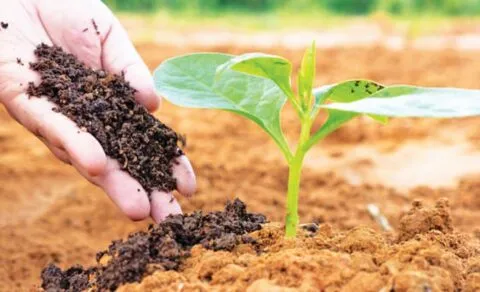 गरमपानी: जैविक कृषि को बढ़ावा देने को जीबी पंत कृषि विश्वविद्यालय के मास्टर ट्रेनरों ने दिए टिप्स