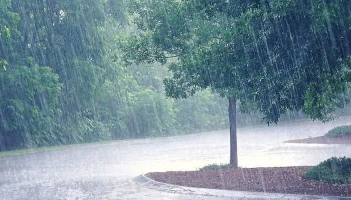 UP Weather Update: यूपी वासियों को मिलेगी बड़ी राहत, 29 जिलों में होगी झमाझम बारिश