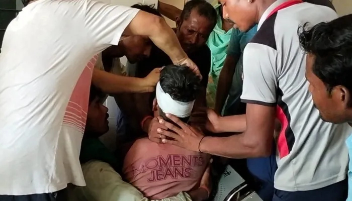 बहराइच: बाइक सवारों पर बाघ ने किया हमला, सीएचसी रेफर