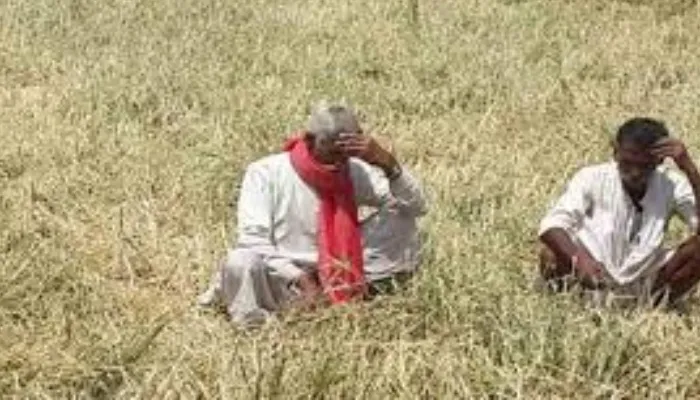 अयोध्या: फसलों की सिंचाई में आई समस्या, सूखी नहरें देख किसान हुए परेशान