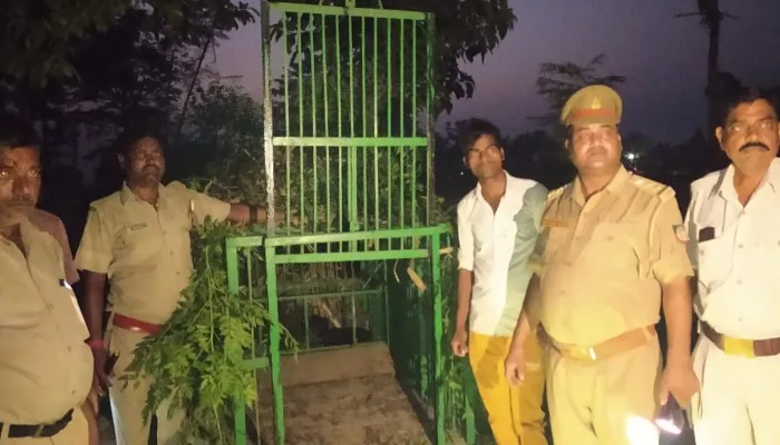 बहराइच: गांव में फिर पहुंचा तेंदुआ, वन विभाग ने लगाया पिंजरा, शिकार के लिये बांधी बकरी