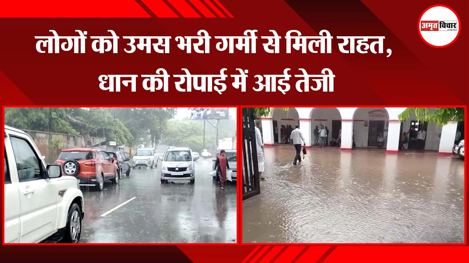 अयोध्या: लोगों को उमस भरी गर्मी से मिली राहत, धान की रोपाई में आई तेजी