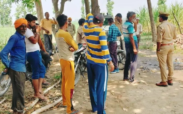 लखीमपुर-खीरी: बाघ ने गाय पर हमला कर किया शिकार, मौके पर मौत