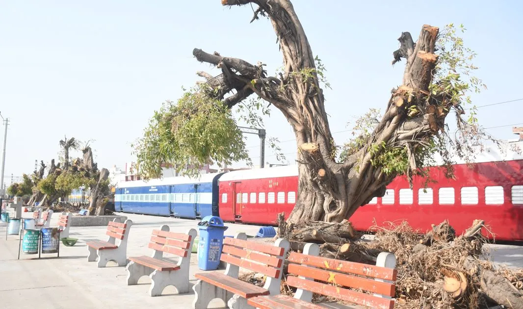 बरेली: रेलवे की जमीन से हटाया 40 साल पुराना कब्जा