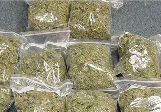अंतर-राज्यीय मादक पदार्थ गिरोह का भंडाफोड़, 286 किलोग्राम गांजा जब्त