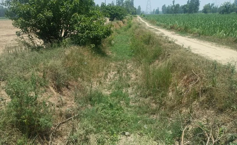 बरेली: नहरों की टेल तक पानी पहुंचाने का दावा फेल