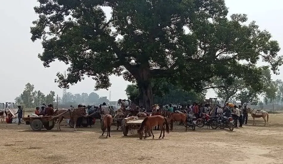 बरेली: चौबारी रामगंगा घाट पर श्रद्धालुओं का लगा जमावड़ा, नखासा बना मुख्य आकर्षण का केंद्र