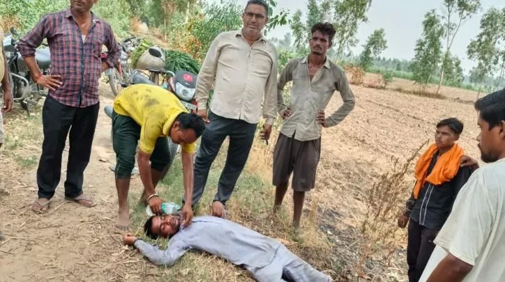 शाहजहांपुर: उबरिया गांव में पहुंचा बाघ, बाल-बाल बचा मजदूर