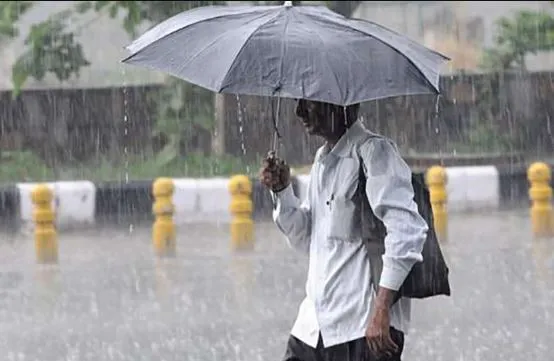 मानसून के 48 घंटे में ओडिशा में प्रवेश की संभावना: आईएमडी