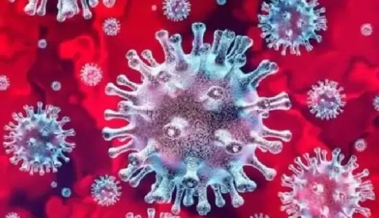 बरेली: पुरुषों की तुलना में महिलाएं अधिक कोरोना संक्रमित